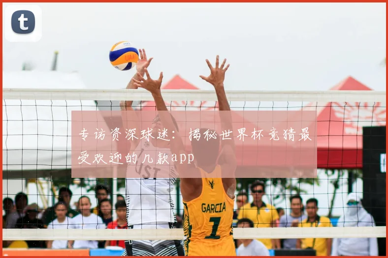 专访资深球迷:揭秘世界杯竞猜最受欢迎的几款app