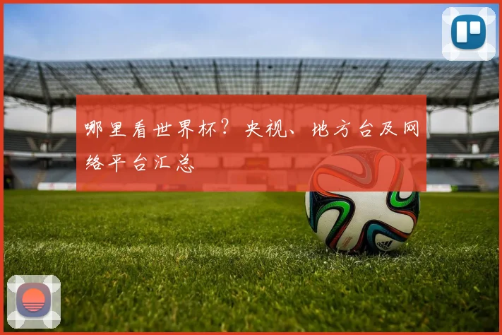 哪里看世界杯?央视、地方台及网络平台汇总