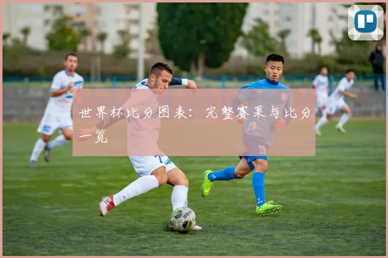 世界杯比分图表：完整赛果与比分一览