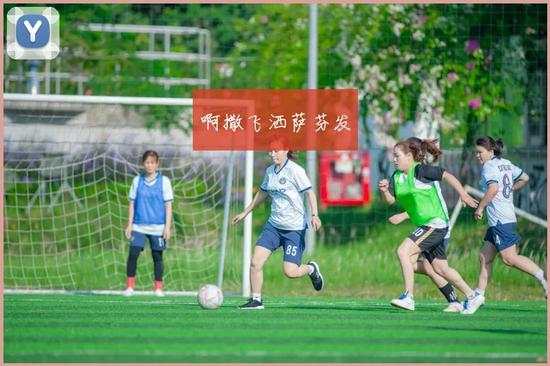 世界杯比分全记录：独家专访冠军之路